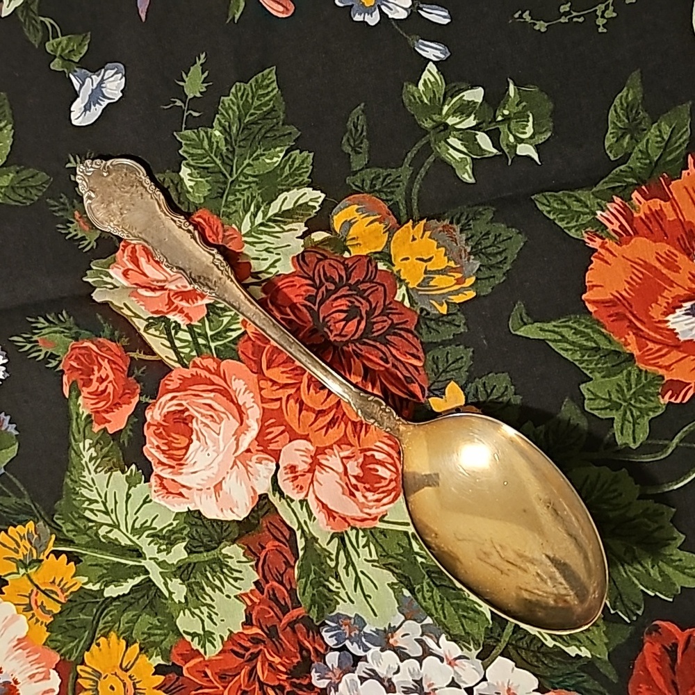 Reed and Barton dresden rose silver plated serving spoon